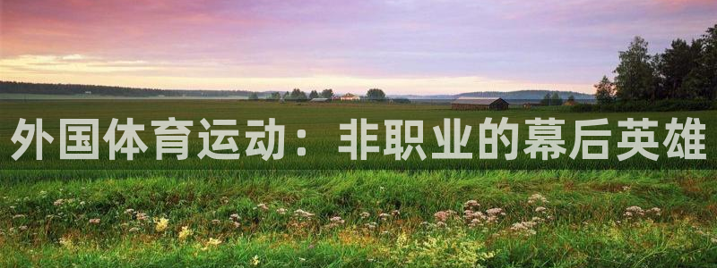 球宴体育官方：外国体育运动：非职业的幕后英雄