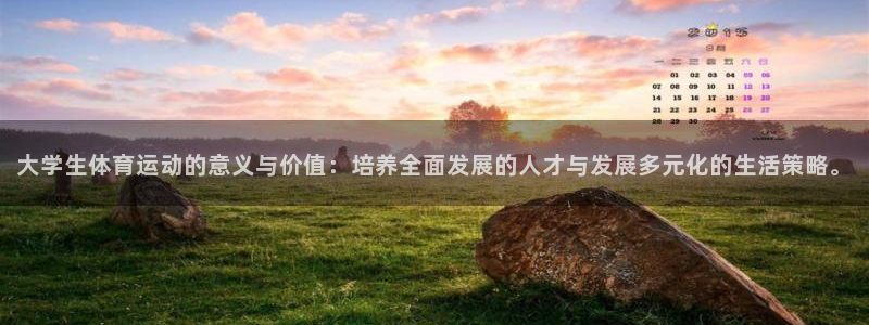 球宴体育app下载