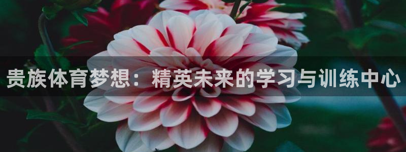 球宴体育下载：贵族体育梦想：精英未来的学习与训练中心