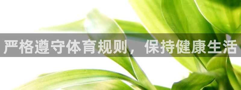 关键词