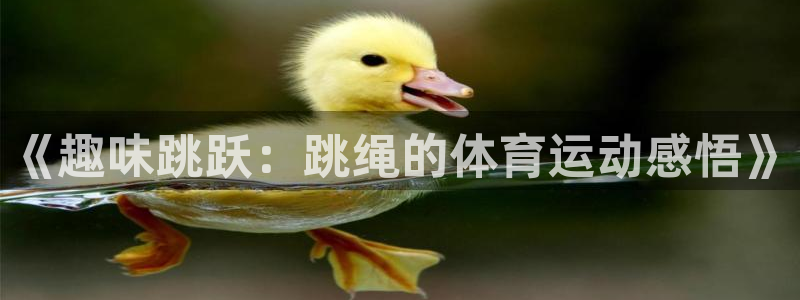 球宴体育网页