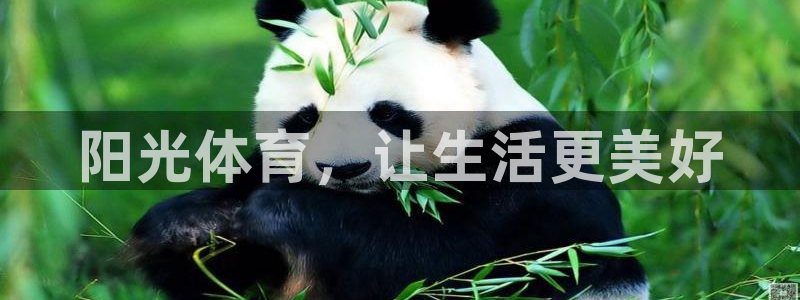 球宴体育app下载官网