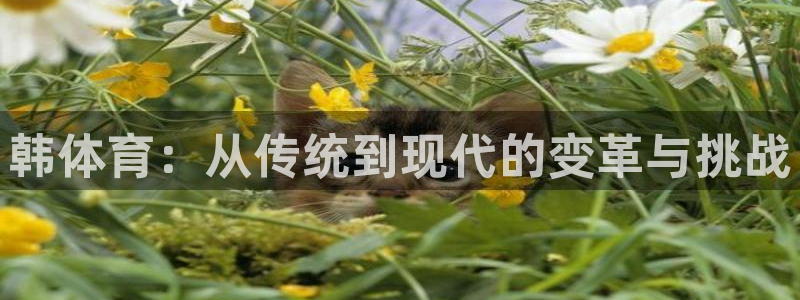 关键词