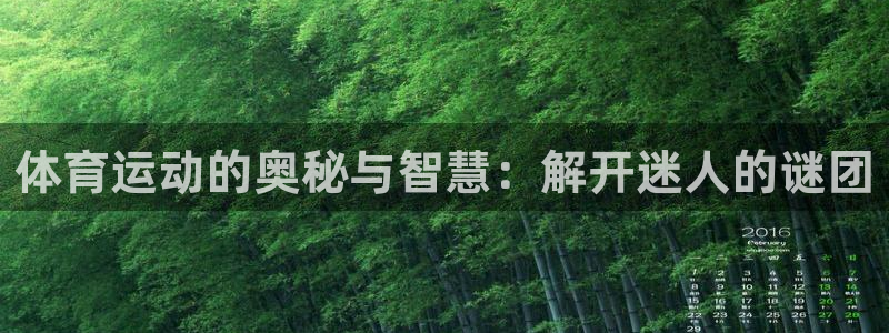 球宴体育